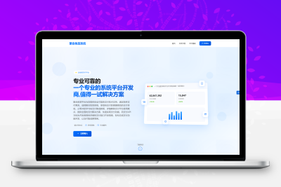 新版码支付系统源码-正版授权【非免费版】