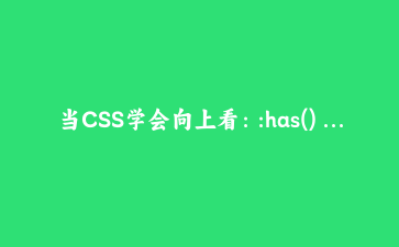 当CSS学会向上看：:has() 伪类让表单反馈和卡片布局变得像变魔术